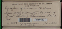 Image Associated With the Occurence